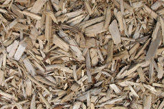 biomass boilers Rocester